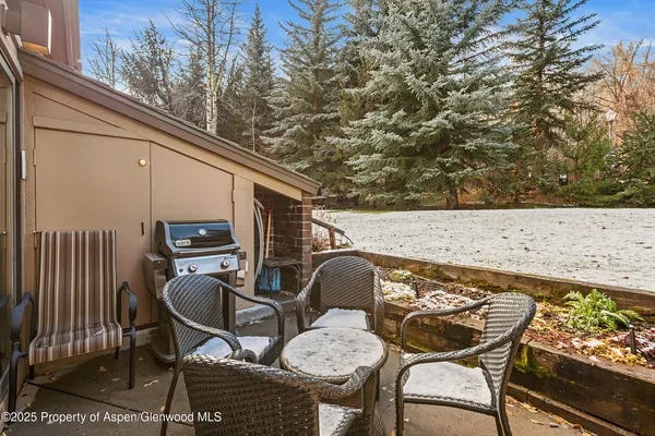 $25,000 | 625 South W End Street, Unit 12, Aspen, CO 81611