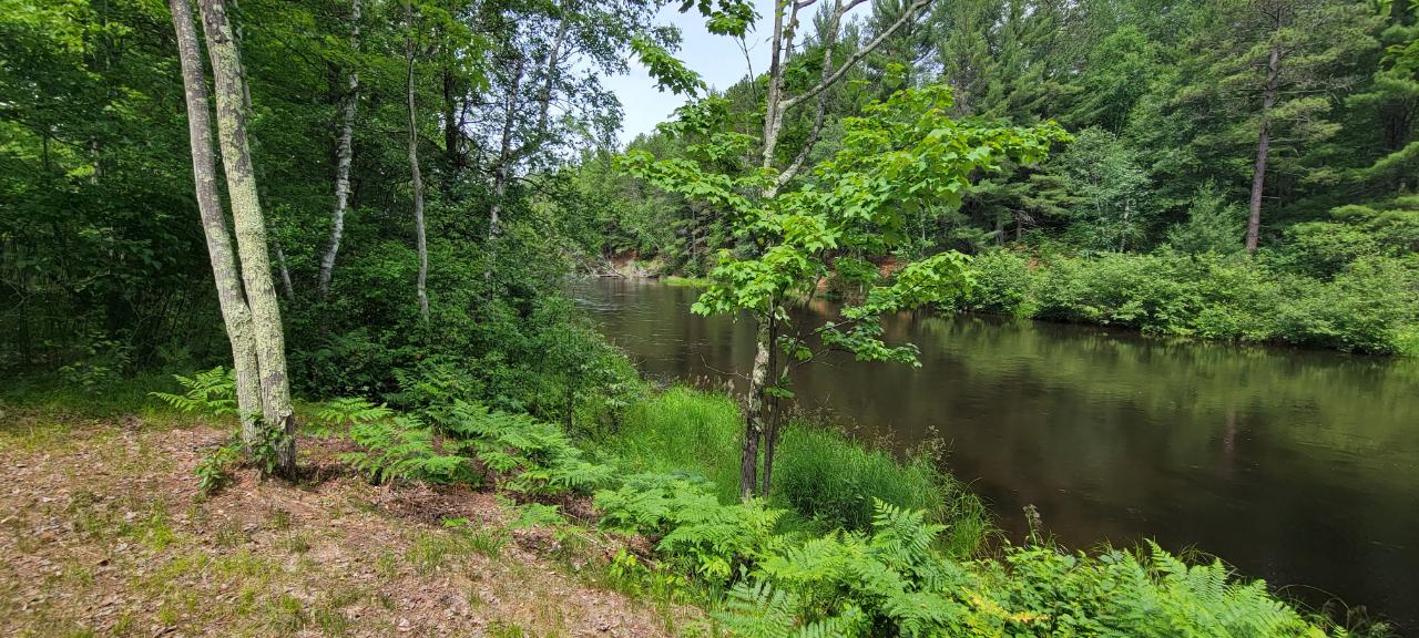 Lot Swamp Swamp Lake Road Tomahawk, WI 54487 - Photo 18 of 24 Gallery Image 18