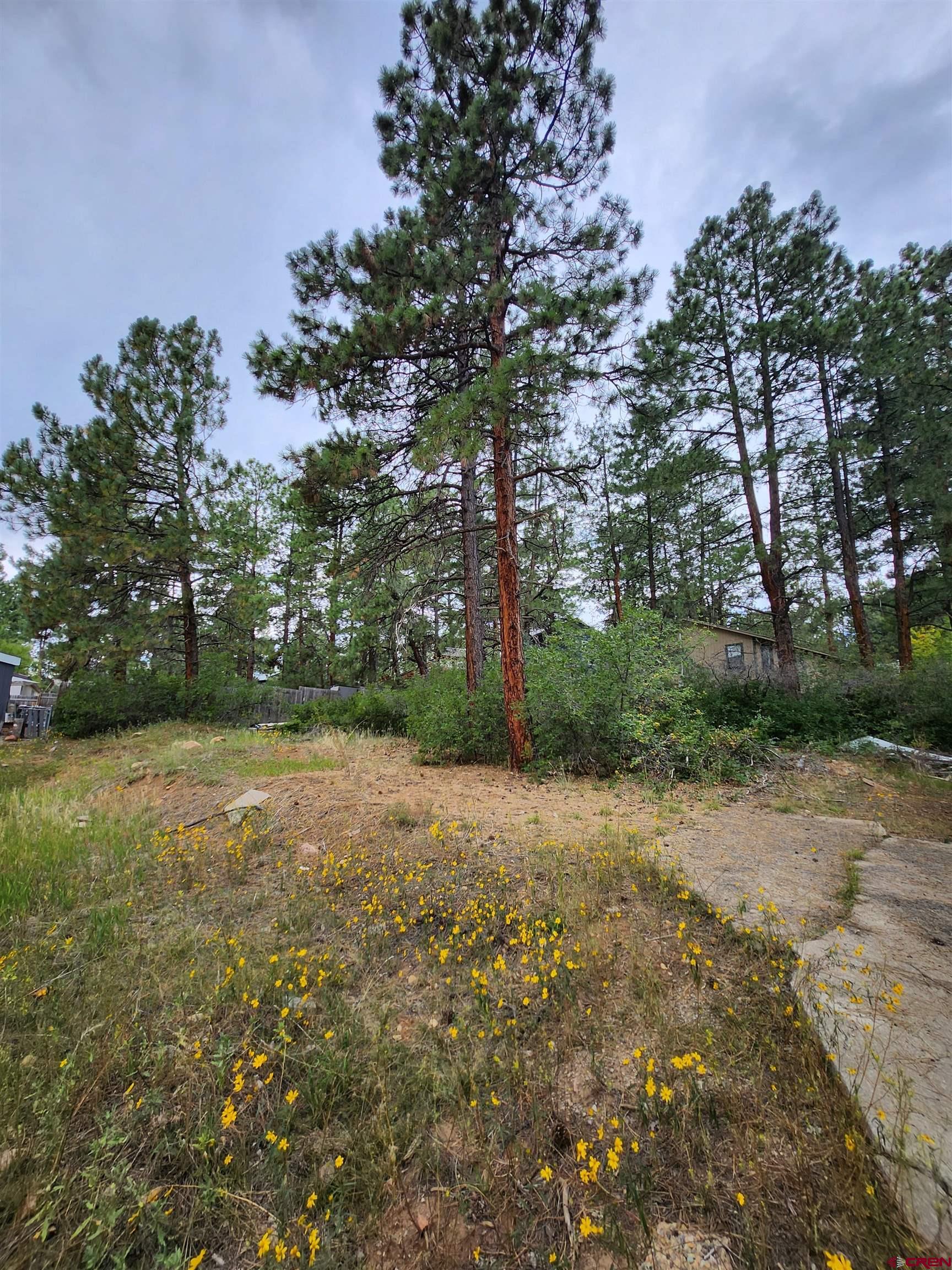 59 Holly Hock Trail Durango, CO 81303 - Photo 2 of 5