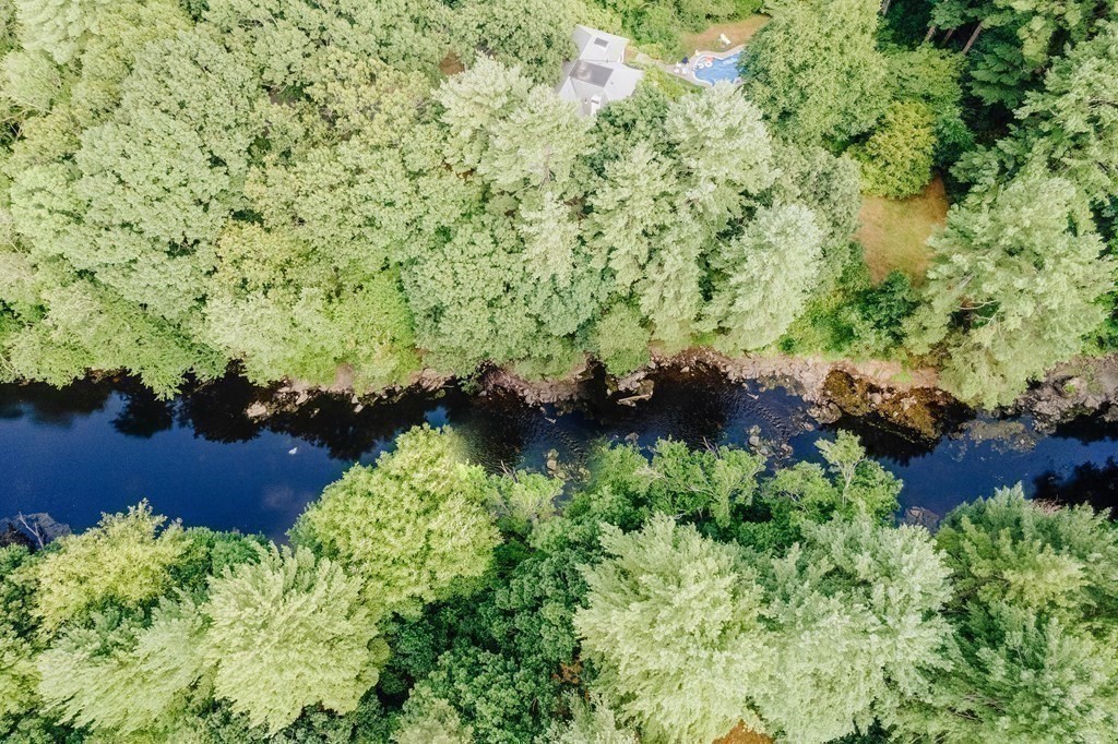 98 Heather Lane Needham, MA 02492 - Photo 31 of 31 a view of flowers in a garden