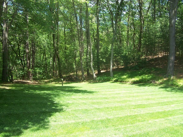 40 Porter Road Boxford, MA 01921 - Photo 12 of 16 a view of a volley ball court