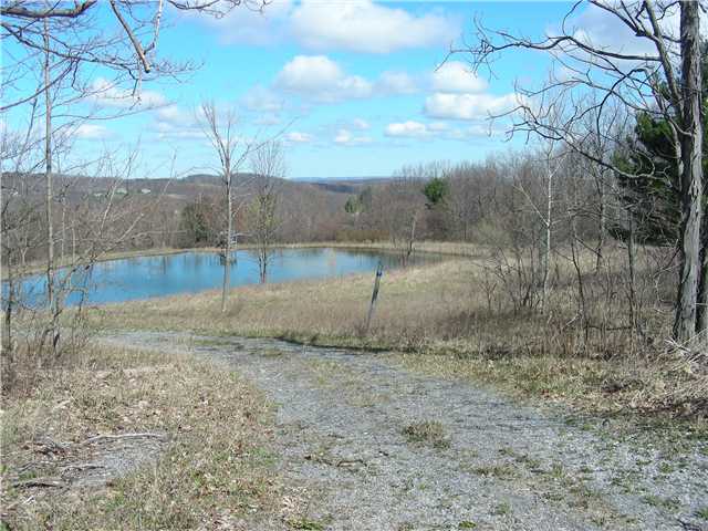 Land. View of land from Goodale Rd.
