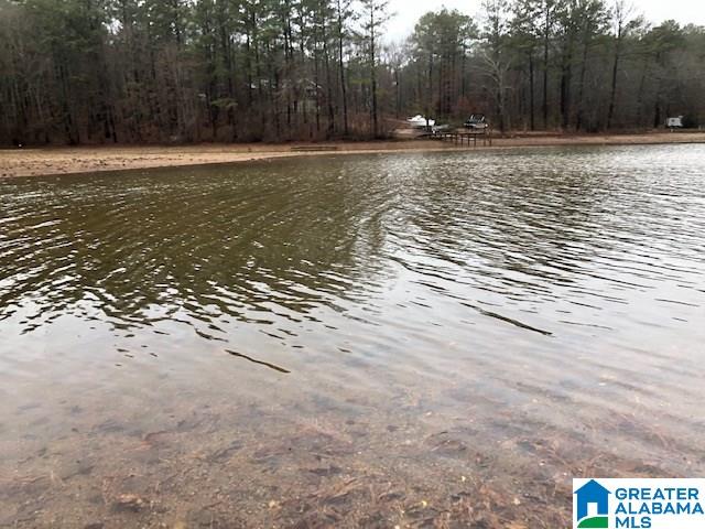 0 Lakeside Lane, Unit 31 Alpine, AL 35014 - Photo 28 of 42