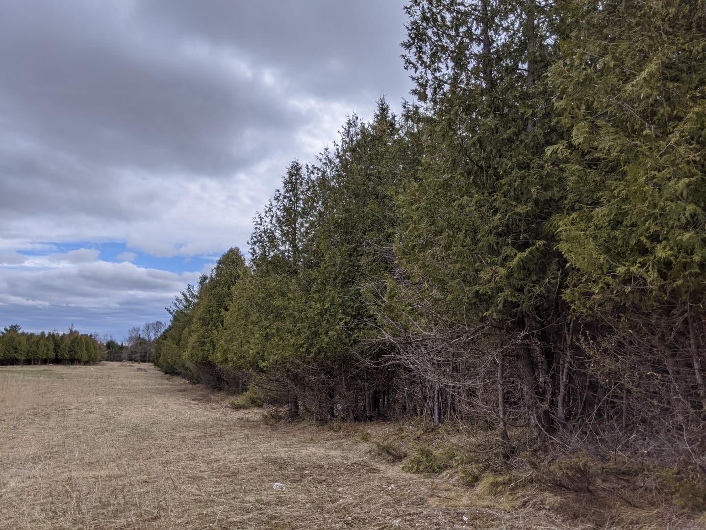 0 Dukes Road Moran, MI 49760 - Photo 7 of 23 Gallery Image 7