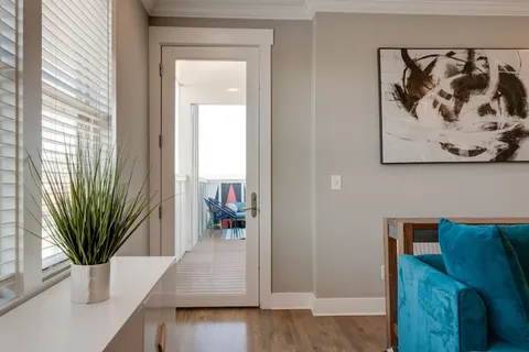a view of a living room and a potted plant
