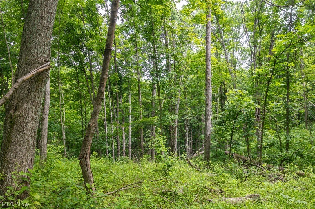 Kinnen Road Caldwell, OH 43724 - Photo 23 of 37