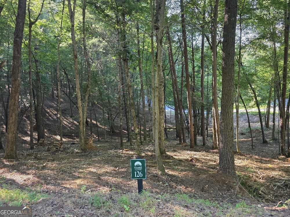 126 R Red Oak Trail Ellijay, GA 30540 - Photo 1 of 1 Gallery Image 1