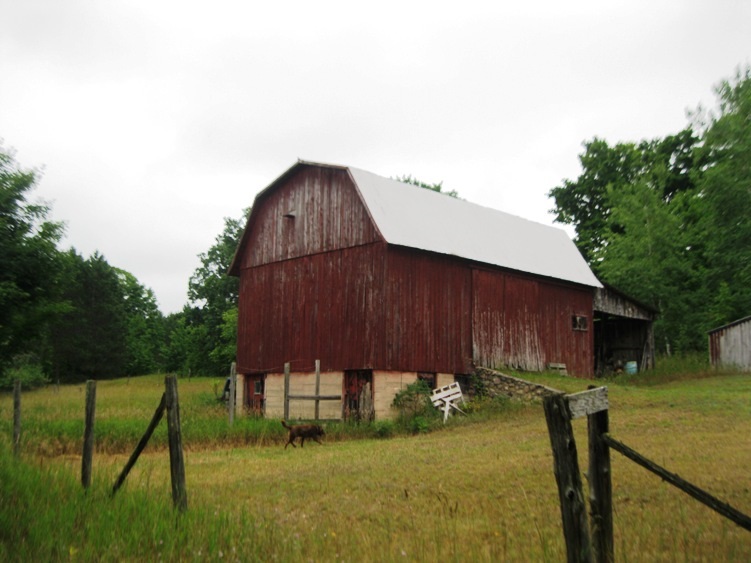 8676 Mockerman Road Southeast Fife Lake, MI 49633 - Photo 17 of 65 1821812-16.JPG