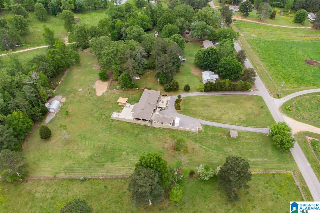 7770 Dry Creek Road Pell City, AL 35128 - Photo 44 of 49