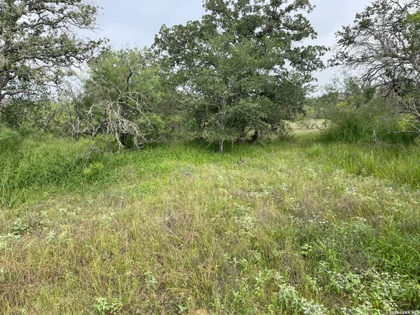 $190,000 | 777 County Road 777, Devine, TX 78016