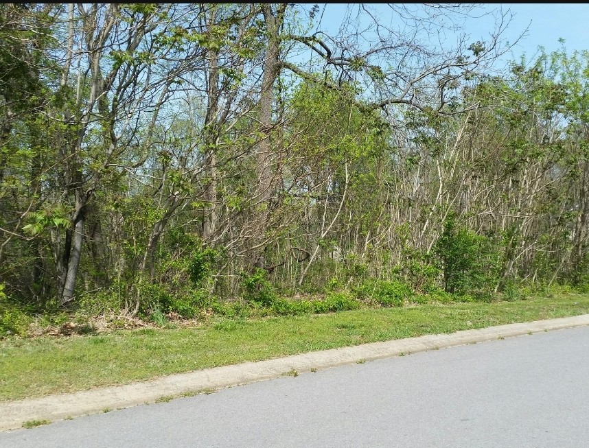 2981 Surrey Ridge Road Clarksville, TN 37043 - Photo 2 of 2 Gallery Image 2