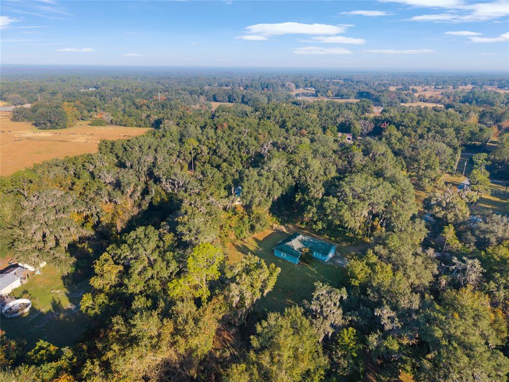 191 Slaughter Road Palatka, FL 32177 - Photo 51 of 62