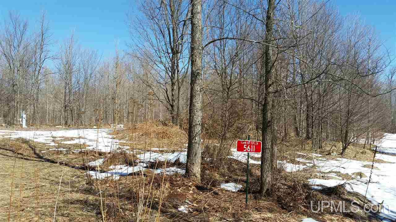 70 Long Lake Long Lake, WI 54542 - Photo 6 of 16