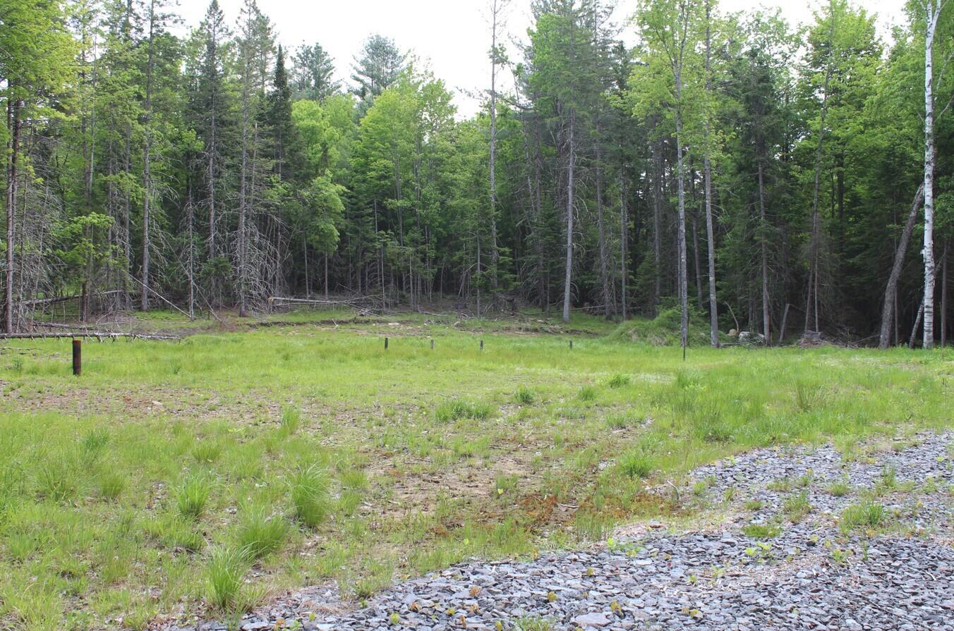 132 Fred Gay Road Indian Lake, NY 12842 - Photo 2 of 7 02