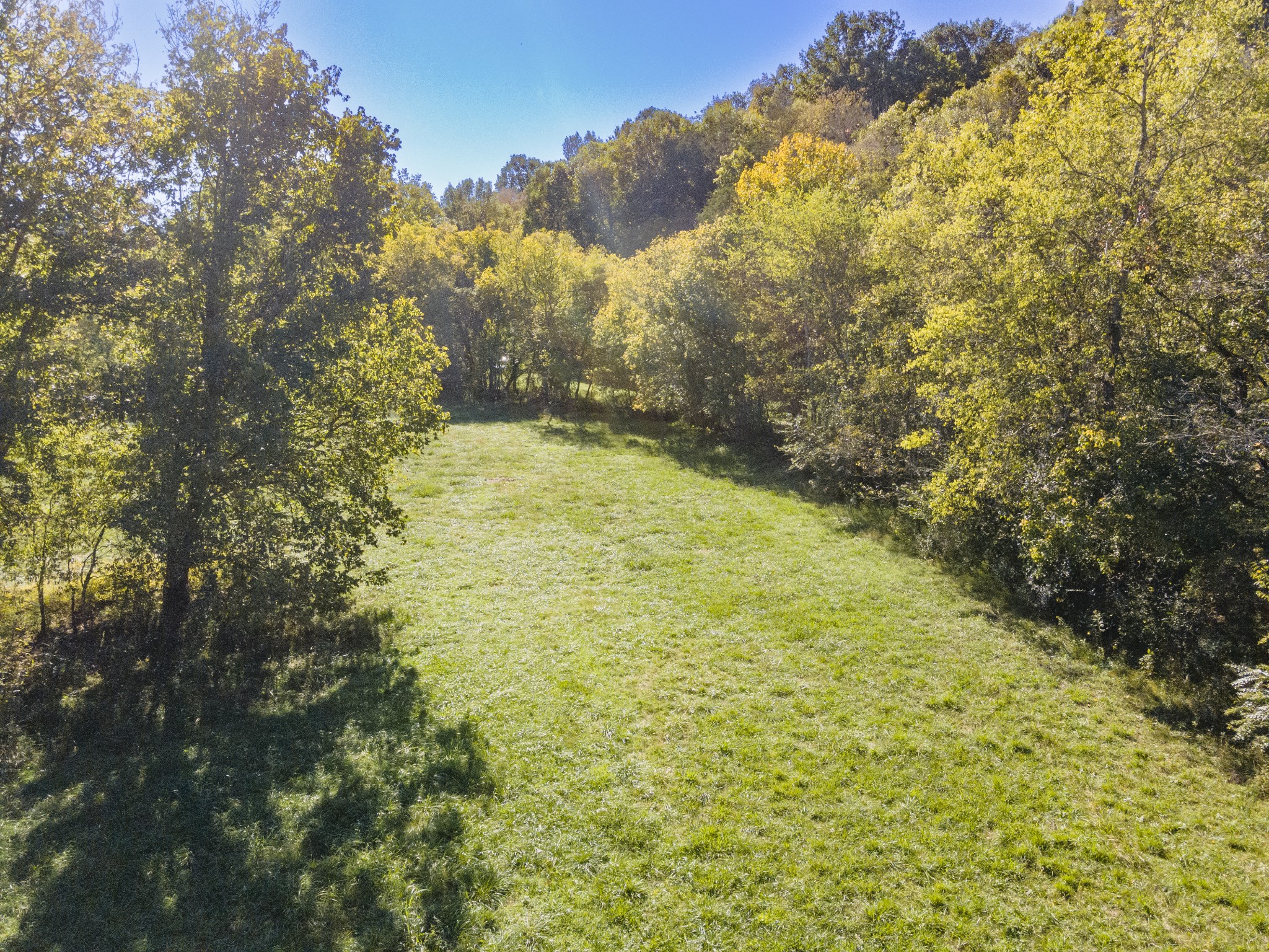501 Tallent Road Pulaski, TN 38478 - Photo 6 of 23