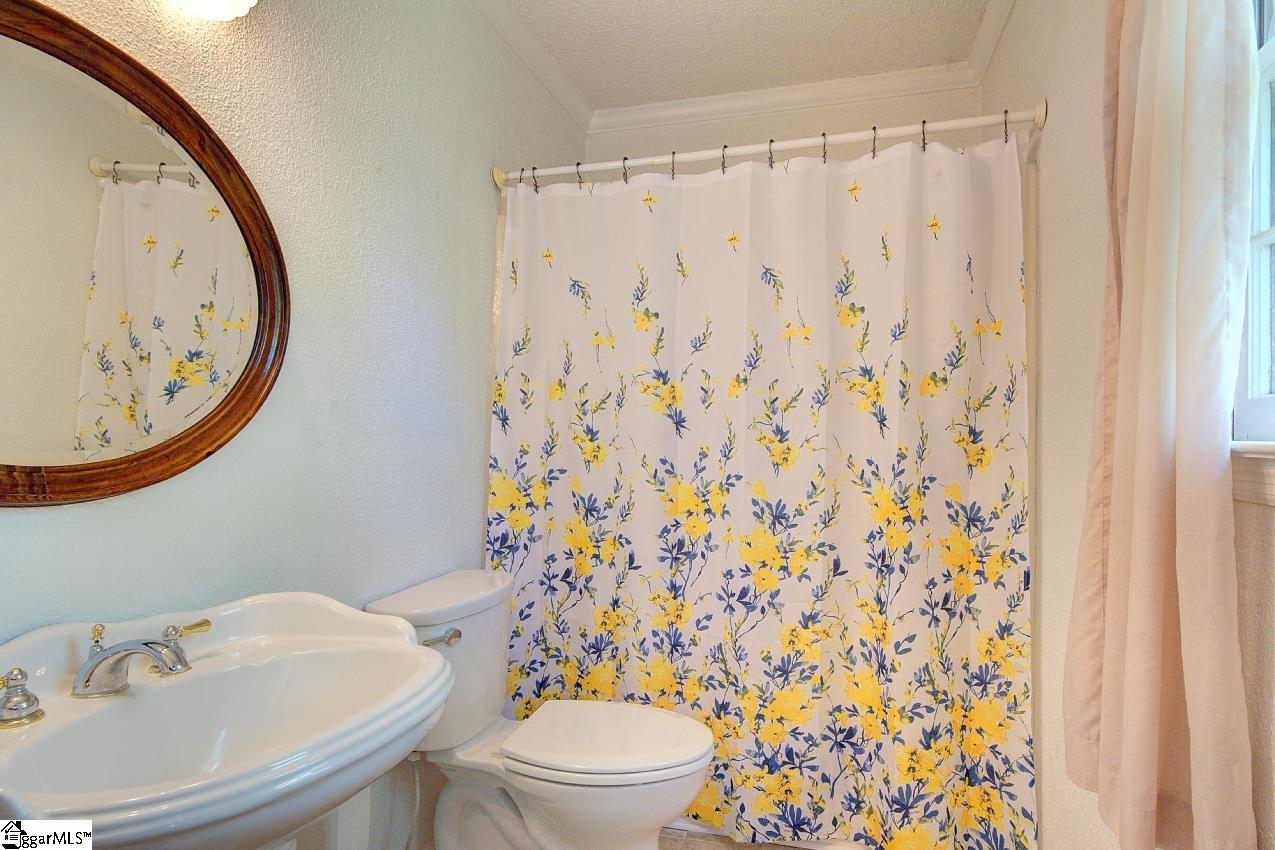 39 Rollingreen Road Greer, SC 29651 - Photo 21 of 49