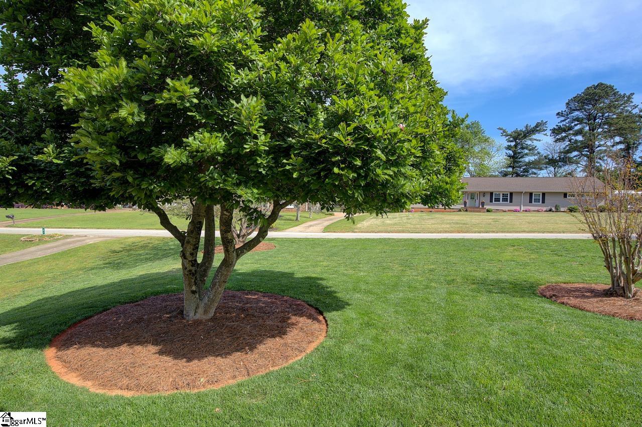 39 Rollingreen Road Greer, SC 29651 - Photo 48 of 49