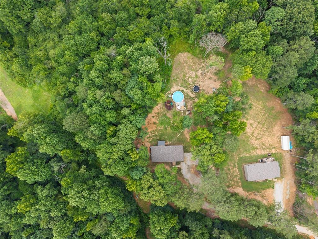 260 Falcon Lane Carnesville, GA 30521 - Photo 4 of 40
