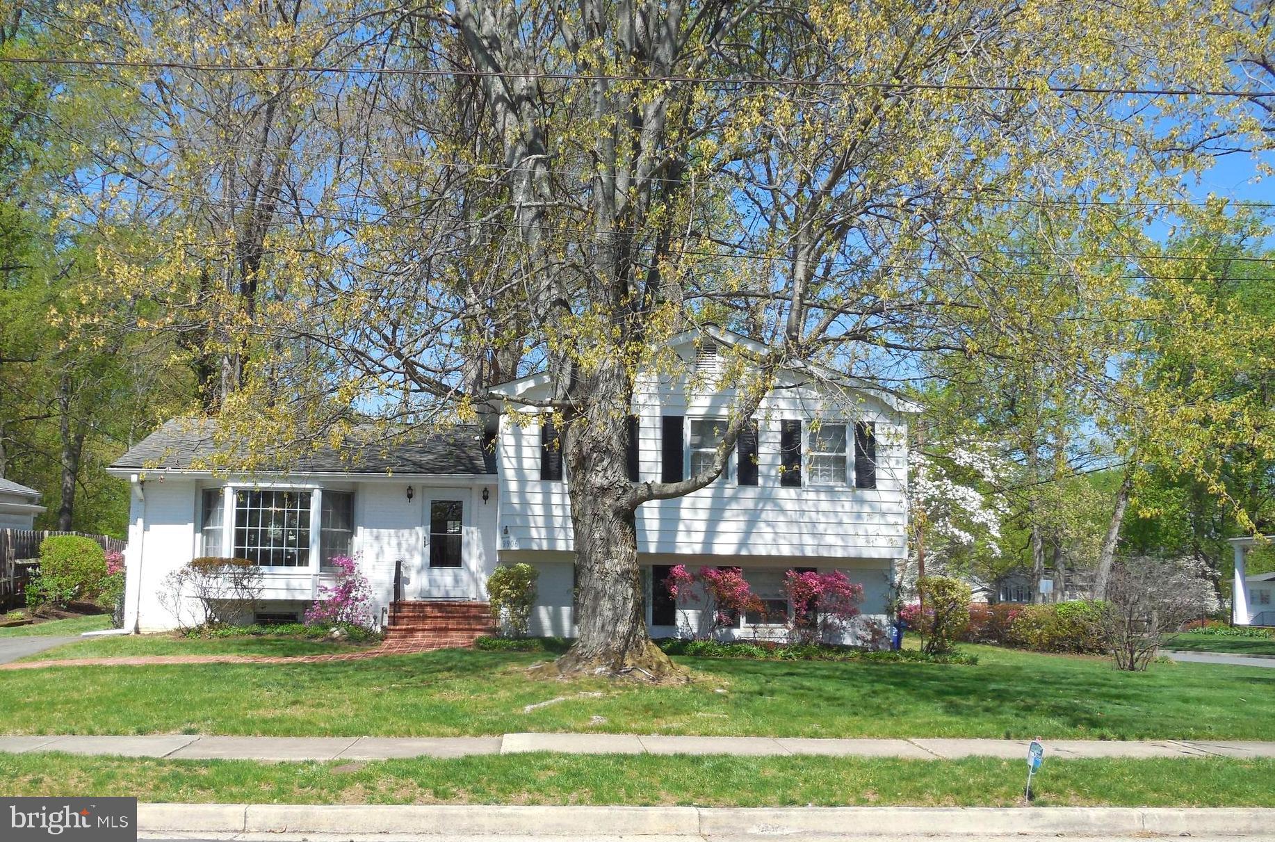 9906 Colony Road Fairfax, VA 22030 - Photo 2 of 52