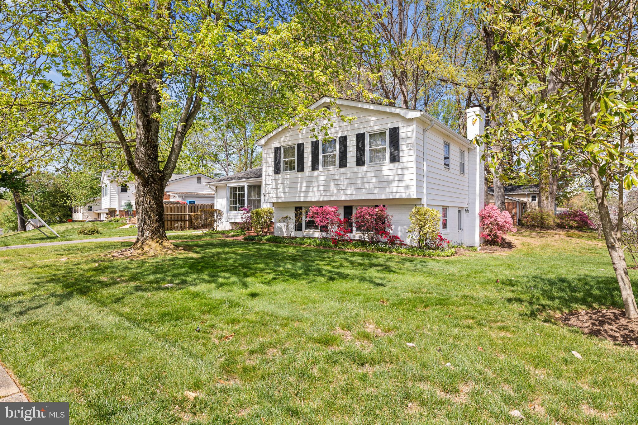 9906 Colony Road Fairfax, VA 22030 - Photo 3 of 52