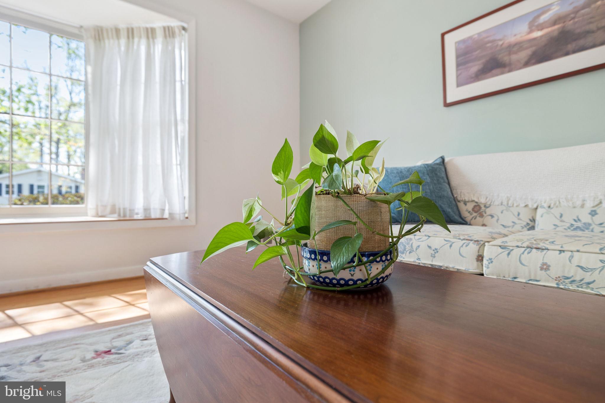 9906 Colony Road Fairfax, VA 22030 - Photo 9 of 52