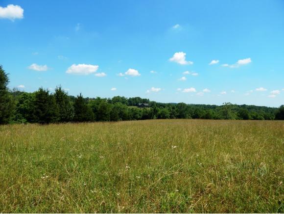 3621 Bascom Corner Road Rising Sun, IN 47040 - Photo 9 of 22