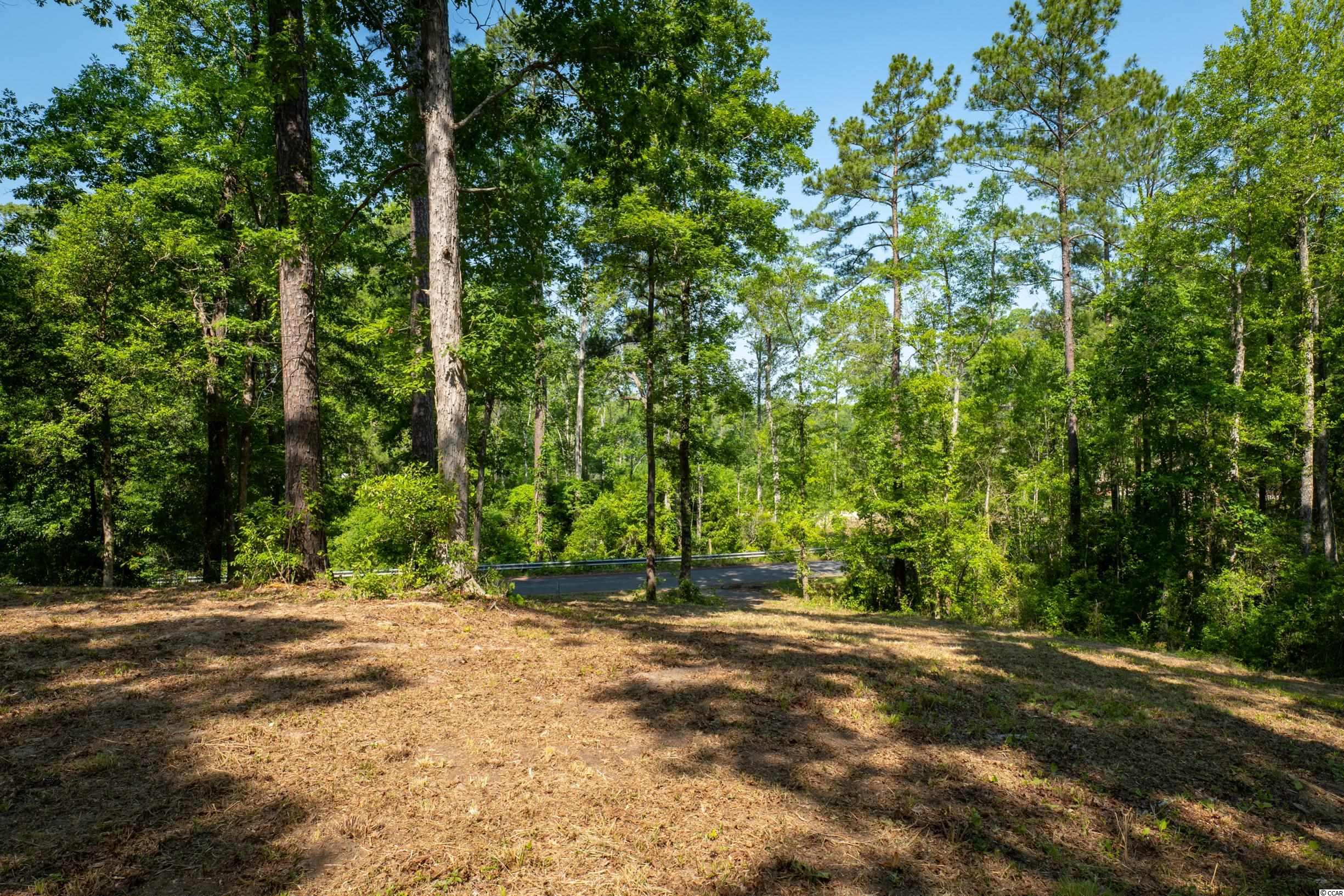 Tbd Francis Marion Drive Georgetown, SC 29440 - Photo 11 of 28