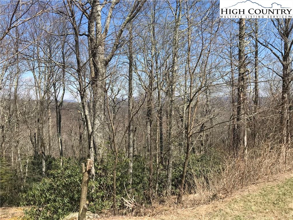 Lot 36 Hemlock Ridge Road Blowing Rock, NC 28605 - Photo 11 of 12 Gallery Image 11
