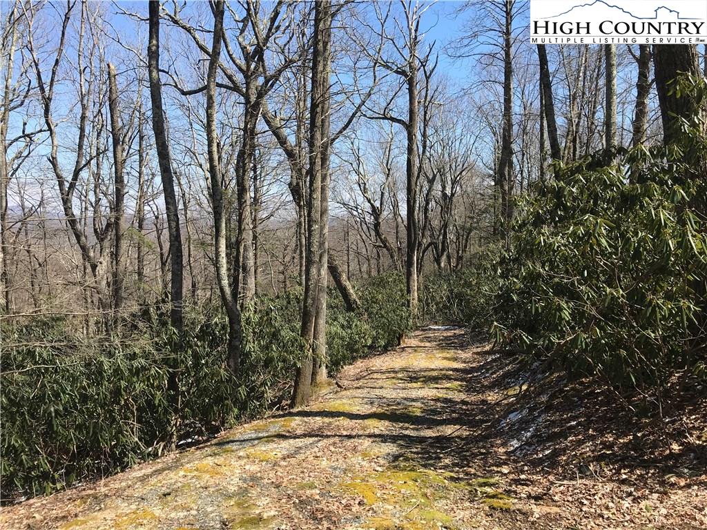 Lot 36 Hemlock Ridge Road Blowing Rock, NC 28605 - Photo 12 of 12 Gallery Image 12