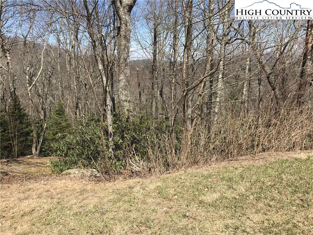 Lot 36 Hemlock Ridge Road Blowing Rock, NC 28605 - Photo 3 of 12 Gallery Image 3