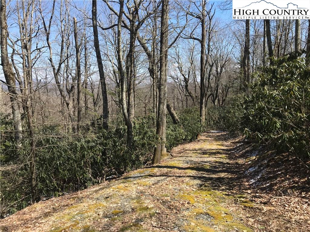 Lot 36 Hemlock Ridge Road Blowing Rock, NC 28605 - Photo 4 of 12 Gallery Image 4