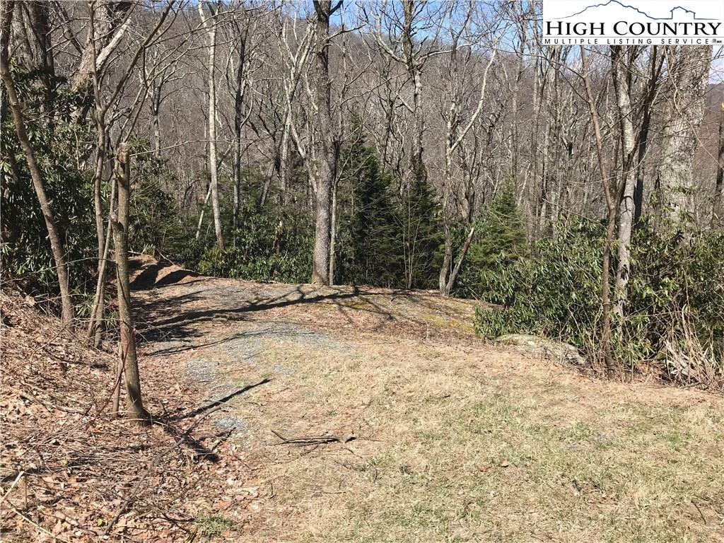 Lot 36 Hemlock Ridge Road Blowing Rock, NC 28605 - Photo 5 of 12 Gallery Image 5