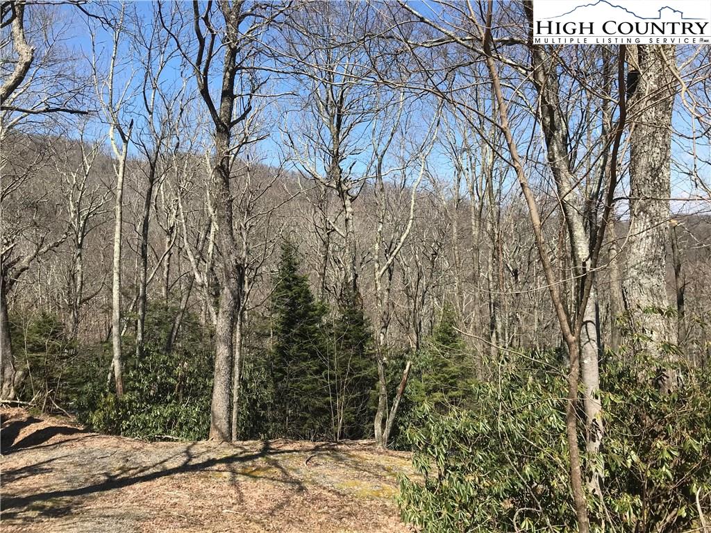 Lot 36 Hemlock Ridge Road Blowing Rock, NC 28605 - Photo 6 of 12 Gallery Image 6