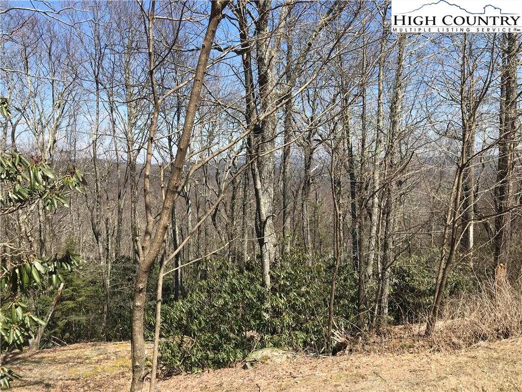 Lot 36 Hemlock Ridge Road Blowing Rock, NC 28605 - Photo 7 of 12 Gallery Image 7