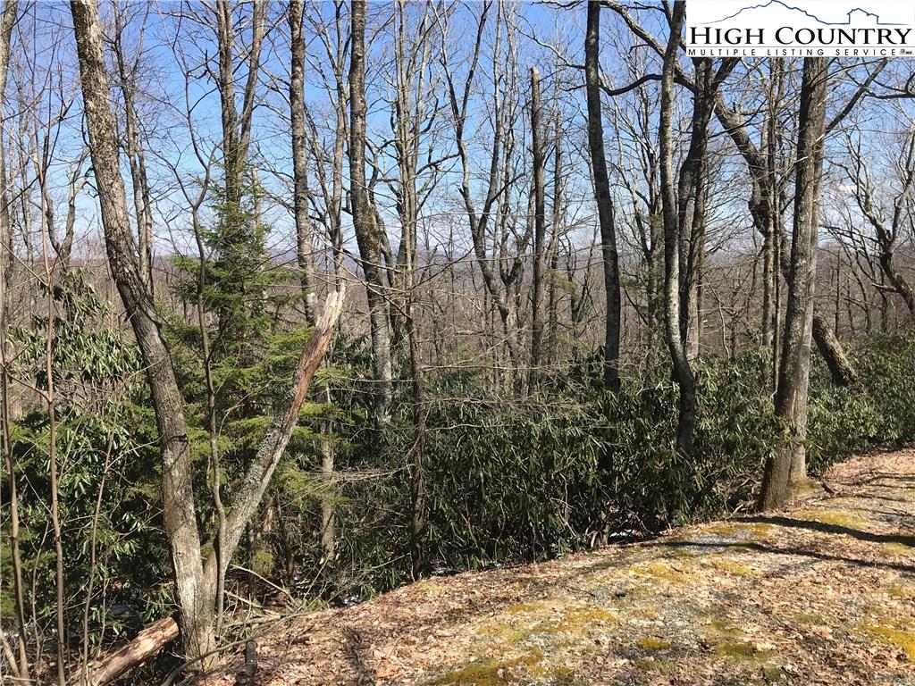 Lot 36 Hemlock Ridge Road Blowing Rock, NC 28605 - Photo 8 of 12 Gallery Image 8
