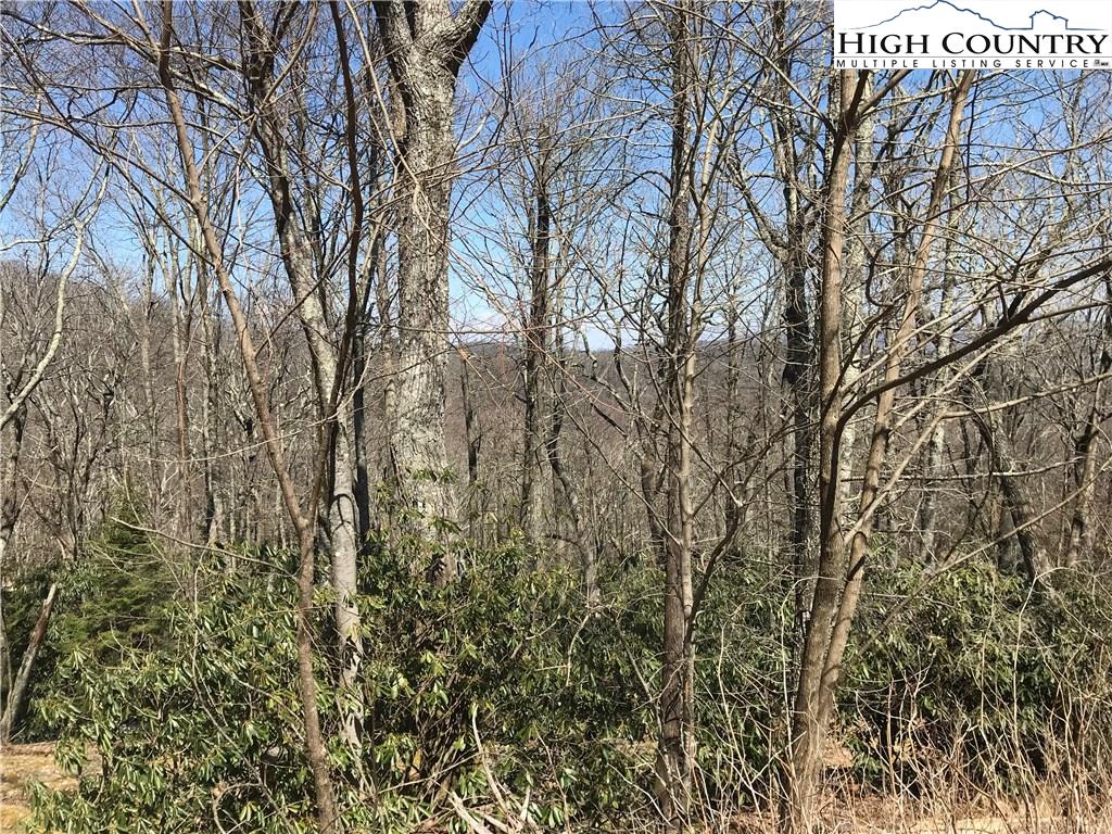 Lot 36 Hemlock Ridge Road Blowing Rock, NC 28605 - Photo 9 of 12 Gallery Image 9