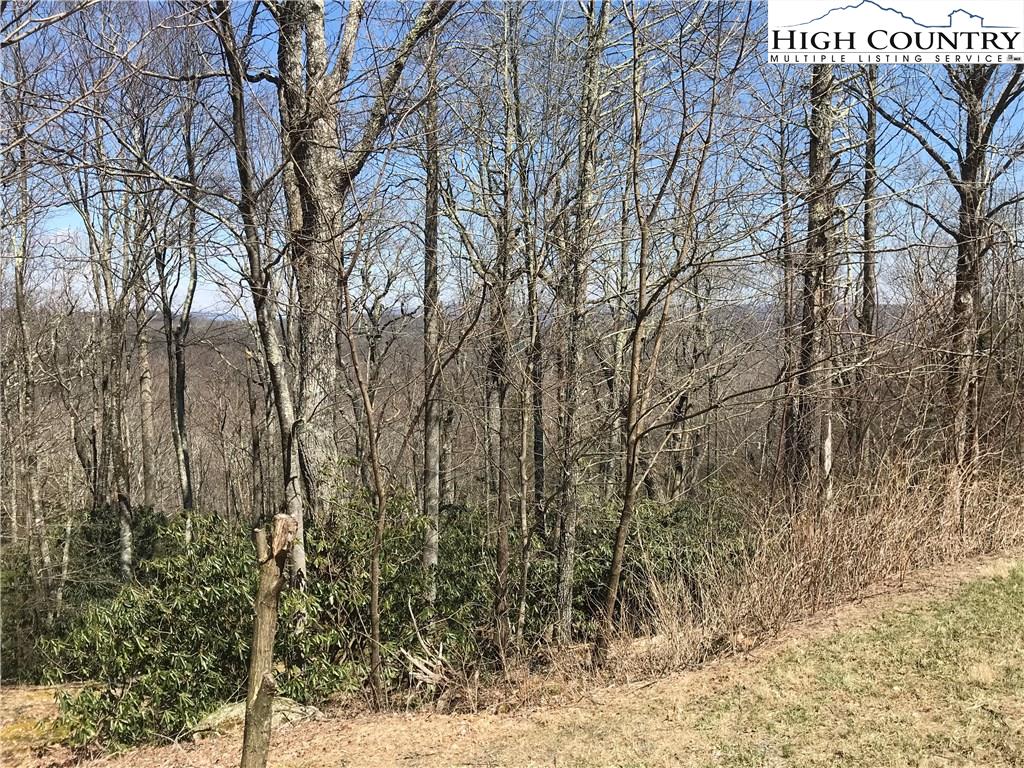 Lot 36 Hemlock Ridge Road Blowing Rock, NC 28605 - Photo 10 of 12 Gallery Image 10