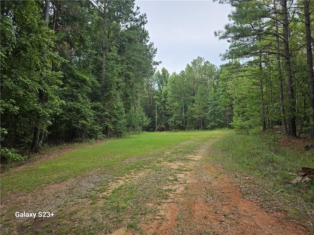 1371 Bairdstown Road Union Point, GA 30669 - Photo 11 of 44 Gallery Image 11