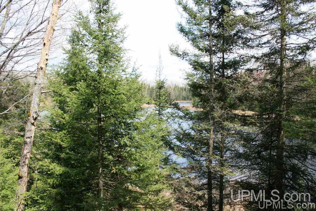 Tbd Stateline Lake Road Marenisco, MI 49947 - Photo 6 of 17