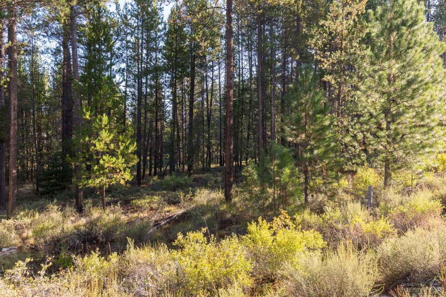 16980 Spring River Road Bend, OR 97707 - Photo 4 of 11 Additional Photo