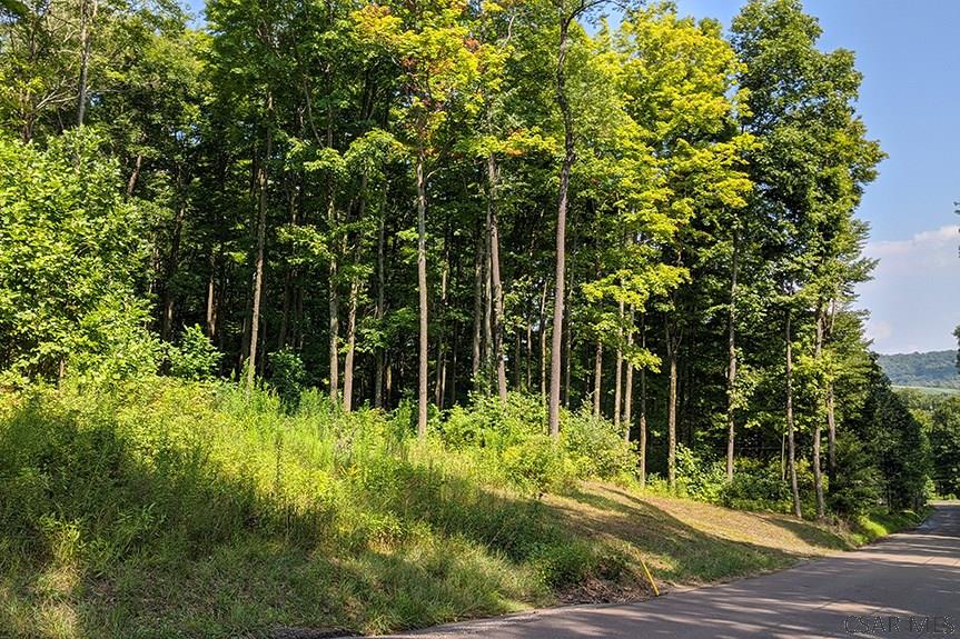Ridge Road Rockwood, PA 15557 - Photo 18 of 22
