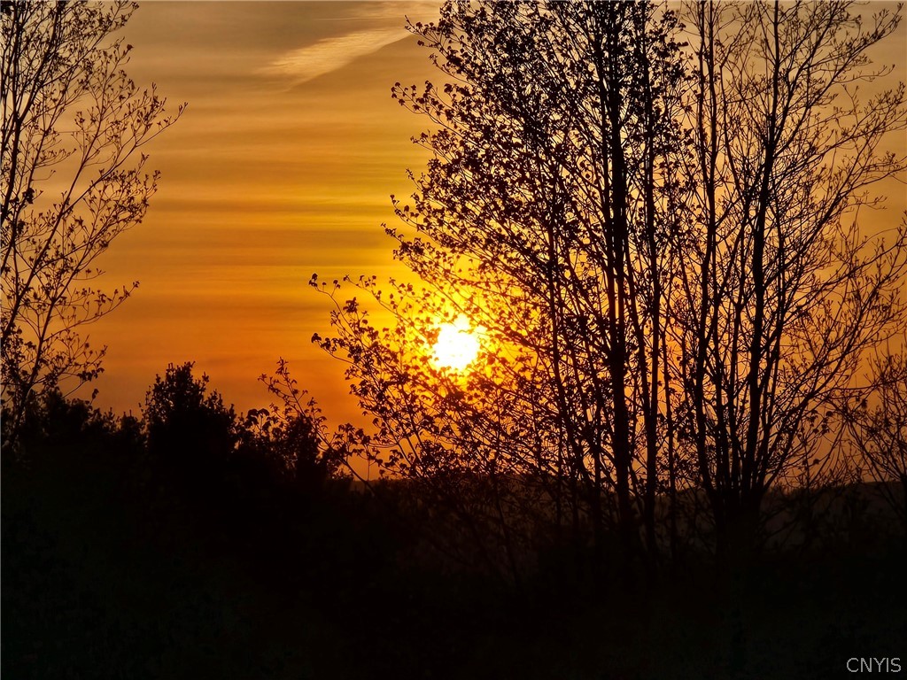 9651 Doyle Road Brookfield, NY 13485 - Photo 2 of 44 Amazing sun sets!