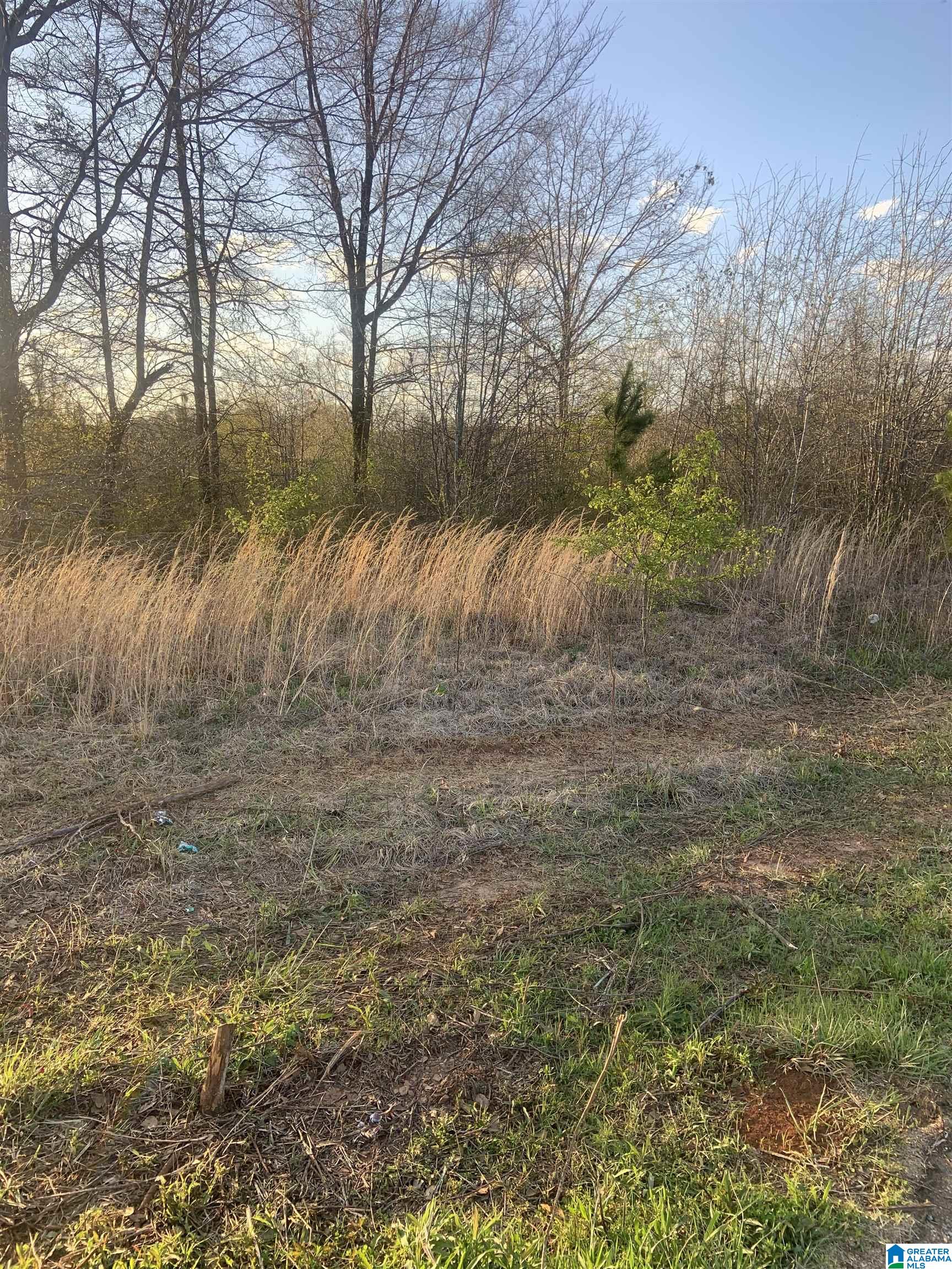 0 Providence Road, Unit 71 ACRES Talladega, AL 35160 - Photo 7 of 9