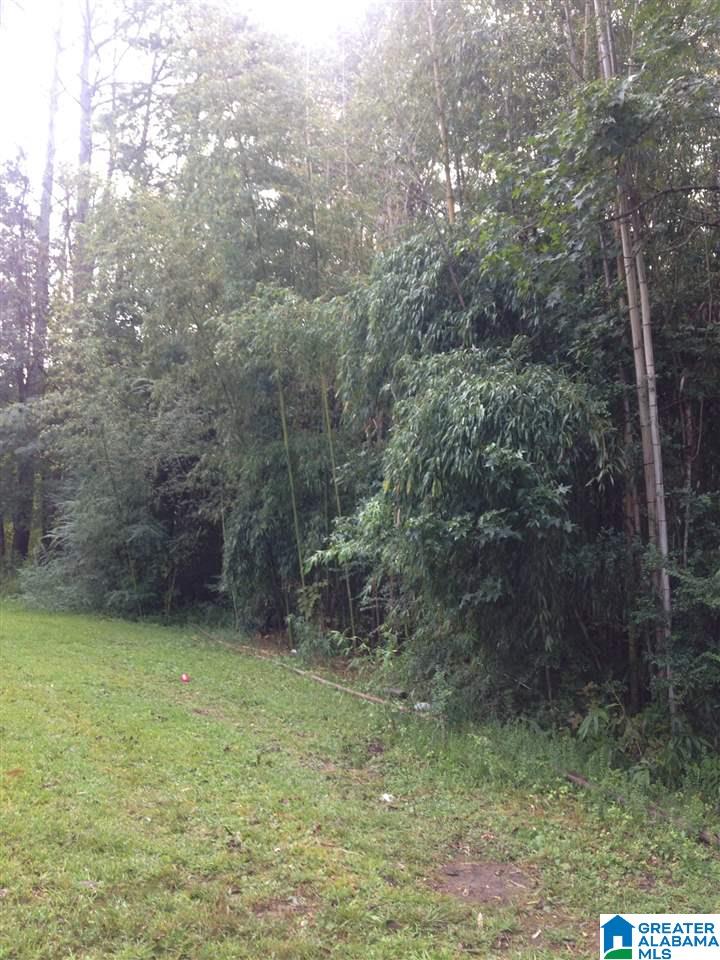 4266 Highway 144 Ragland, AL 35131 - Photo 5 of 14 Gallery Image 5