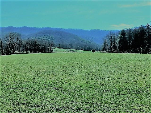 Tbd Mill Creek Road Glade Spring, VA 24340 - Photo 2 of 20 Gallery Image 2