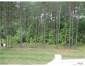 112 Rushing Water Lane Troutman, NC 28166 - Photo 15 of 16 a view of a green field with trees