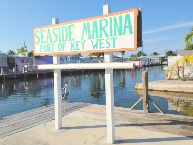 55 Boca Chica Road, Unit 47 Key West, FL 33040 - Photo 17 of 19 a kitchen with a large window and a counter top