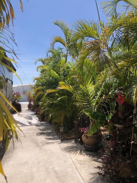 55 Boca Chica Road, Unit 47 Key West, FL 33040 - Photo 3 of 18 a view of a garden with plants