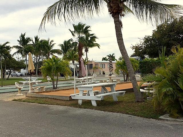 55 Boca Chica Road, Unit 47 Key West, FL 33040 - Photo 10 of 18 front view of water with palm trees