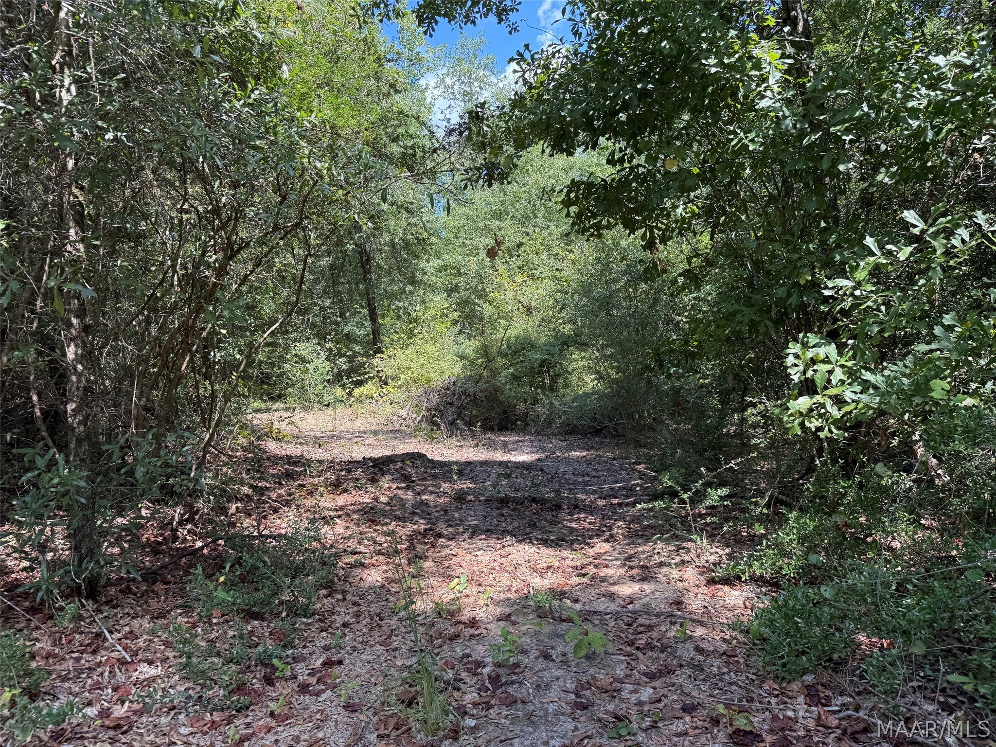 0 County Road 79 Road Billingsley, AL 36006 - Photo 9 of 14 Gallery Image 9